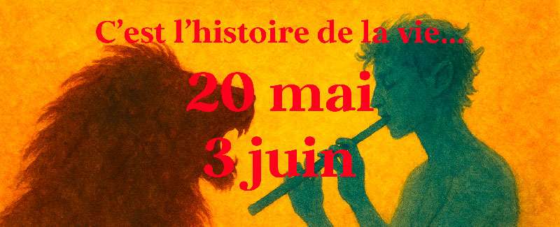 affiche_histoire-de-la-vie